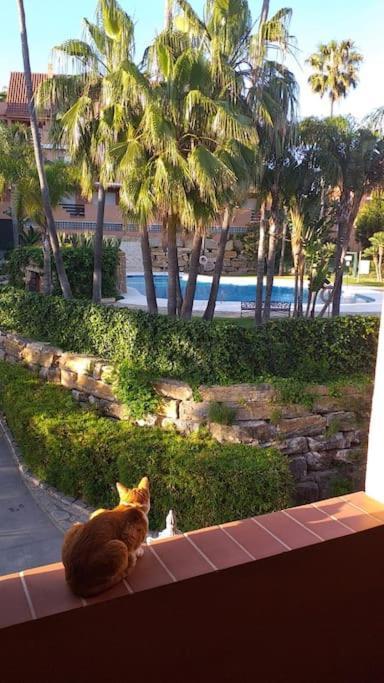 Planta Baja Cerca De La Playa Casares Costa公寓 外观 照片